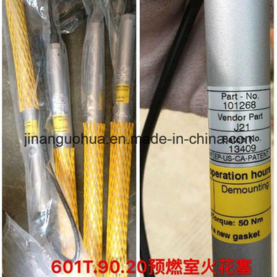 Standard Component Spark Plug for Jichai Gas Generator Customizable Request