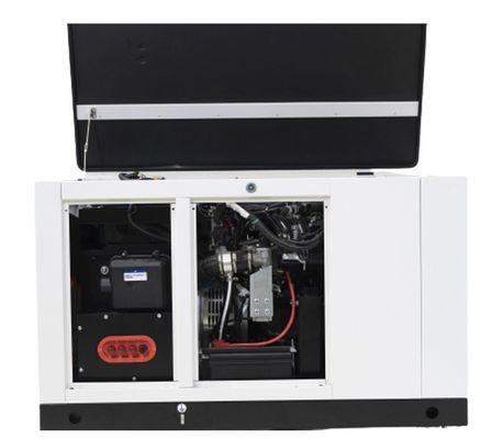 10kw15kw Natural Gas 1phase Propane Butane Mixture LPG Gas Generator for Your Benefit