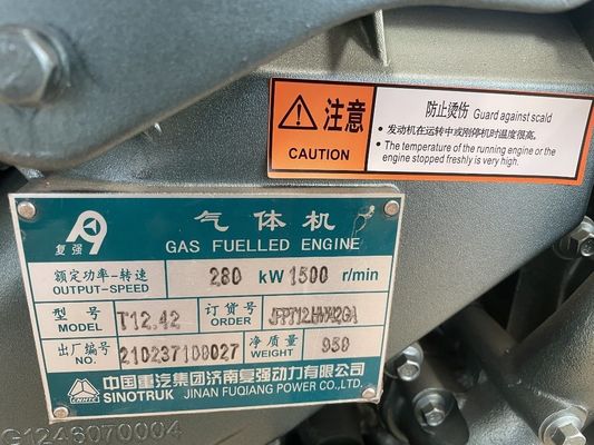Sinotruk Fuqiang T10 T12 M13 200kw Gas Generator with CE Certification and DC Output