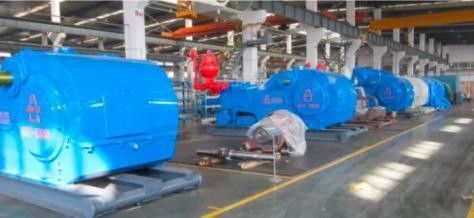 1000 Mud Pump with Chidong Drilling Engine Customized Request and Diamond Bit Type