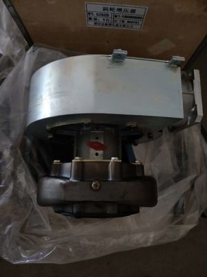 Fixed Installation W12V190 Shengdong Natural Gas Generator Parts with DC Output Type