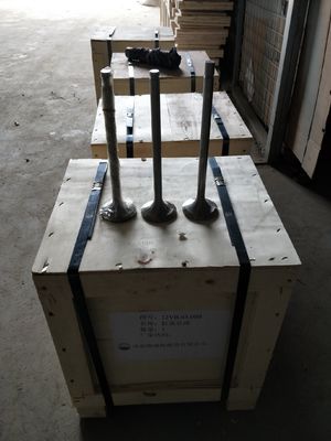 Customization 118KG W12V190.03.01 Intake Valve for 500kw Natural Gas Generator Shengdong