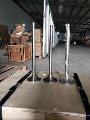 Customization 118KG W12V190.03.01 Intake Valve for 500kw Natural Gas Generator Shengdong