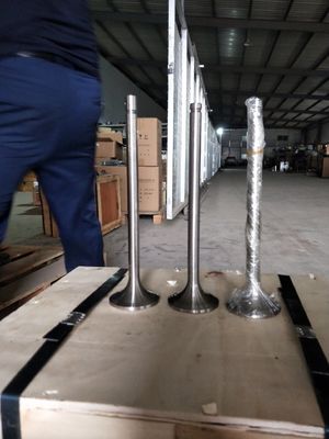Customization 118KG W12V190.03.01 Intake Valve for 500kw Natural Gas Generator Shengdong