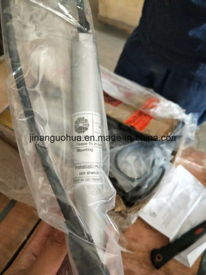 12V190 Stitt Spark Plug Motortech Ignition Plug Shengdong/Jichai Customized Request