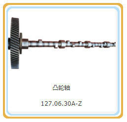 DC Output Type 200kW 127.06.30-Z Camshaft Assembly for Shengdong Gas Engine Parts
