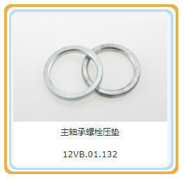 Standard Component The Piston Pin for Shengli Oil Field's Gas Generator Parts Supply