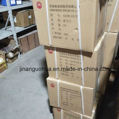 G12V190zldt1-2 Jinan Natural Gas Generator Parts Water Pump by Non-Standard Component
