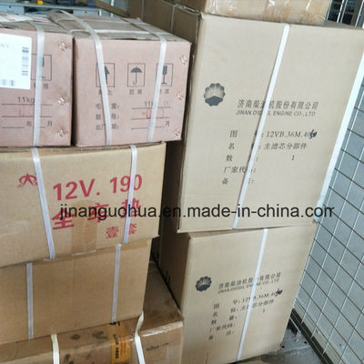 G12V190zldt1-2 Jinan Natural Gas Generator Parts Water Pump by Non-Standard Component