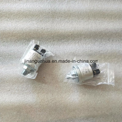 Standard Component Spark Plug for Jichai Gas Generator Customizable Request