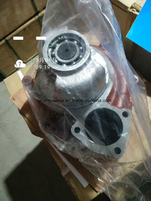 Customized Request Water Pump 12vb 22.00b with Customization