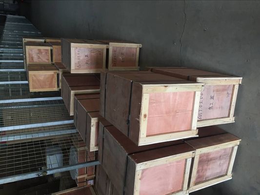 Water Media Pilot Piston Structure Marine Engine Parts for Jinan Diesel Engine 8190 Series