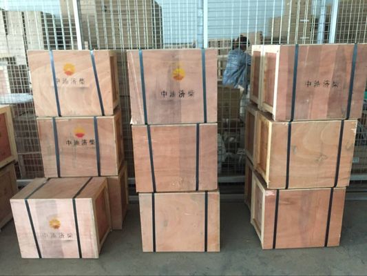 Water Media Pilot Piston Structure Marine Engine Parts for Jinan Diesel Engine 8190 Series