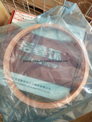 Boat Gasket Cylinder Head Customization Option with Part Number 12vb. 01.03 by Chidong