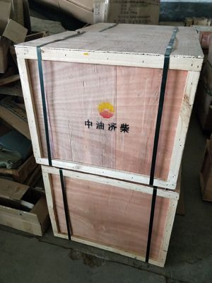 Z12V190bc10 Jinan Diesel Engine Parts Customized for Your Requirements