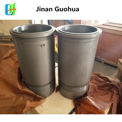 CE Certified Chidong Z12V190bc Engine Parts with CE Certification and Customized Request