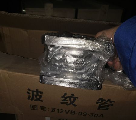 Standard Component Co900f/33 Drilling Engine Parts Jichai Model G12V190zl CE Certified
