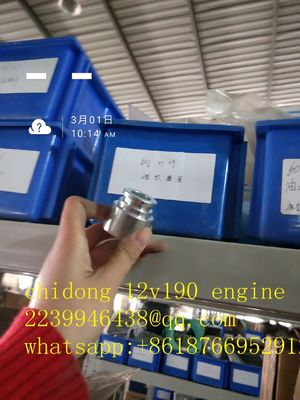 Co1300f-3/25 Model Bl12V190 Zl-3 Jinan Diesel Engine Parts with ISO9001 Certification