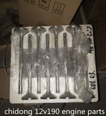 B6190zlc-1 Sand Pumping Vessel Engine Parts Standard Component for 100kg Performance