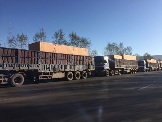 Jichai 1000kw Natural Gas Generator H16V190zlt2-2 for Niger Customization Option