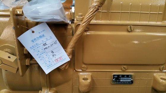 Jinan Diesel Engine 12V190 Crankshaft Low Oil Pressure Shut Down Device for Operation
