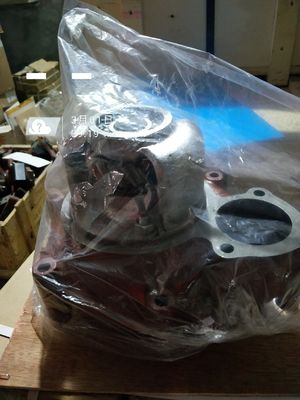 16V190 H16V190zl Diesel Engine Model Water Pump Assy 6016.22D. 00 with Customization