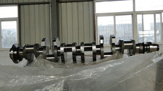 Cooling Method Water Cooling Customization Crankshaft Assembly Model H16V190 Engine Parts