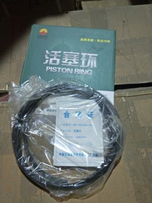 16V190 Diesel Engine Parts H16V190 Piston Ring for Gas Generator Model 601.05.02A-Gj