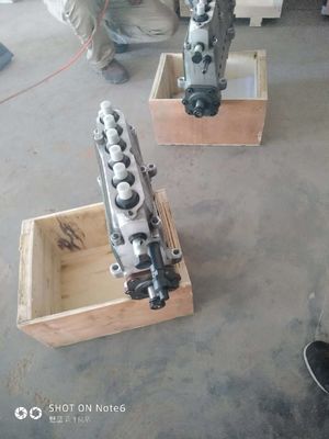 Fixed Installation H16V190zl Diesel Engine Parts with AC Three Phase Output in Jinan