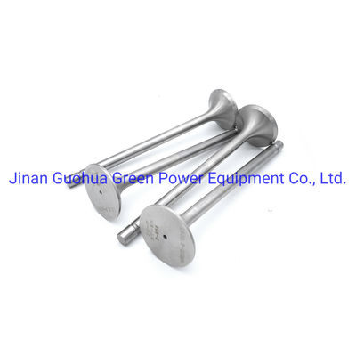 Water Cooling Pz12V190b-2 Jichai Chidong Engine Parts for Land and Efficiency Conditions