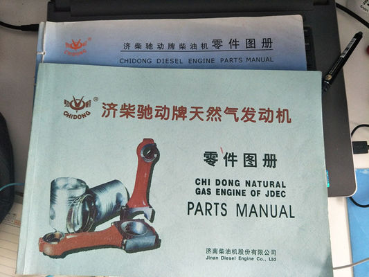 Diesel Generator with DC Output Type 12V190 16V190 Jichai Jinan Diesel Engine Parts