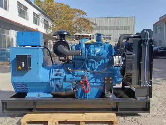 100 Kw Yuchai Gas Generators Set Online Services and Colour Customization Options