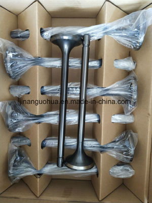 3000 Series Diesel Engine Coupling Gear Box Set Yozj750-20fdfa with Female Connection