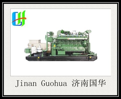 CE Standard Shengdong 12V190 Series 700kw Biogas Gas Generator for Optimal Efficiency