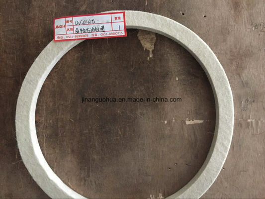 Jichai/Chidong/Jinan Gas Generation Power Plant Push Cylinder 12vb. 02.00 Crankshaft