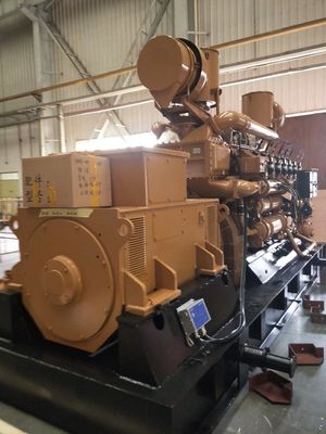 1MW Power Station Equipped with 12V190 Gas Generator and Customized Request Option
