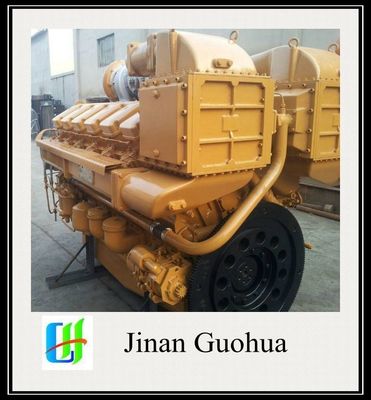 12V190 Biogas Power Generator Customization Customized Request 500kw Biogas Generator