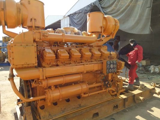 DC Output 500kw Biogas Electric Generator for Animal Waste Energy Conversion Equipment