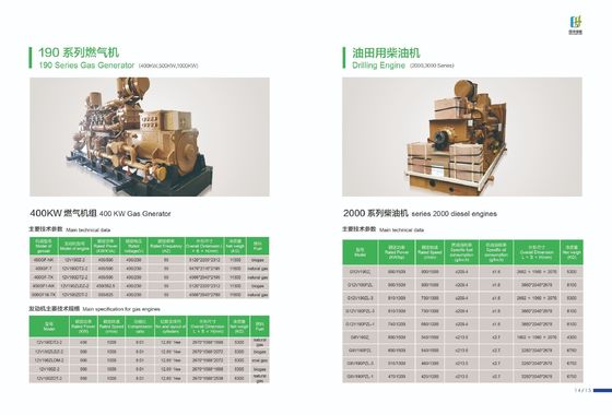 190 Series 500GF-Nk Gas Generator Customization Option for AC Three Phase Output
