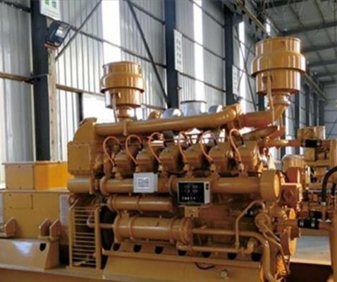 Jichaig12V190zldz-2 Gas Generator Set Customized Request Option for Small Businesses