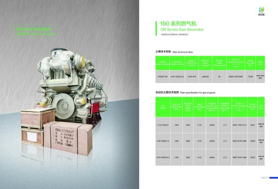 1000kw Bl12V190zld Diesel Generating Sets Jichai Customization for Your Requirements