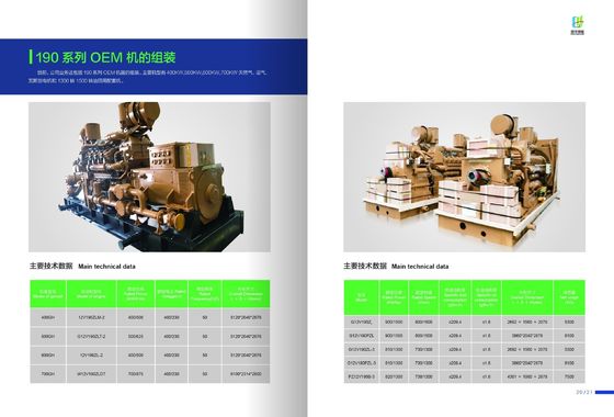 1000kw Bl12V190zld Diesel Generating Sets Jichai Customization for Your Requirements