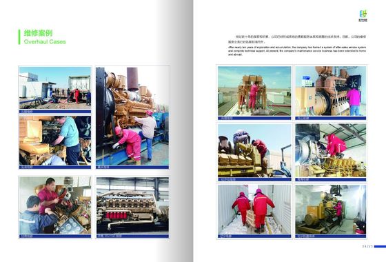 1000kw Bl12V190zld Diesel Generating Sets Jichai Customization for Your Requirements